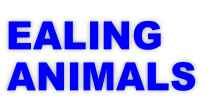 EALING